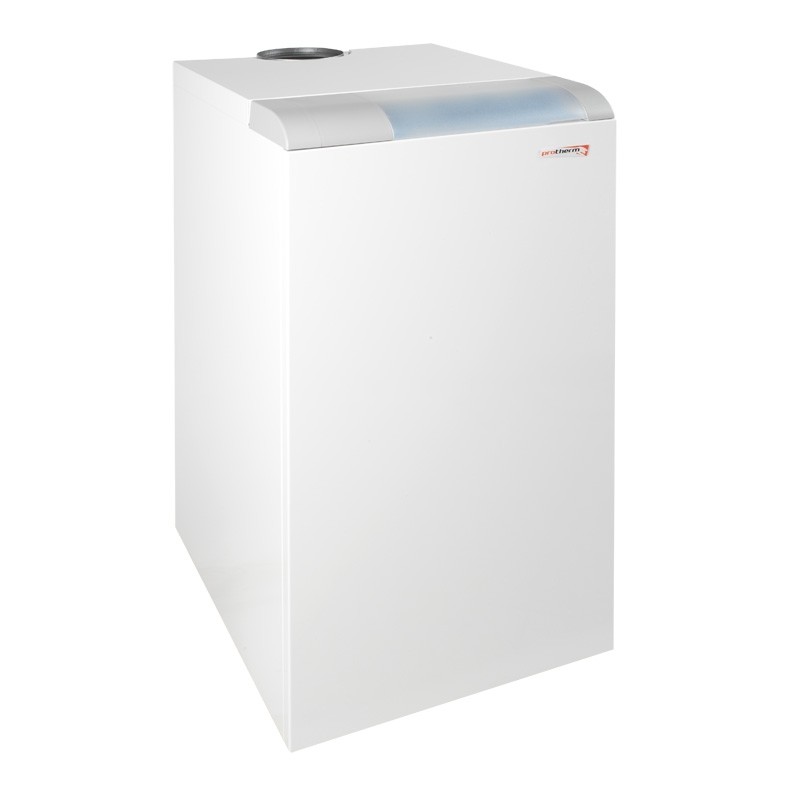Газовый напольный котел Protherm Медведь 50 TLO